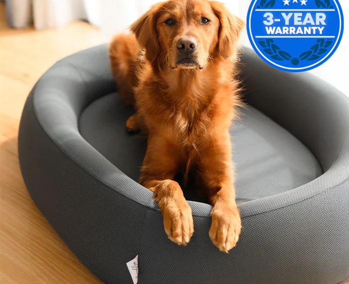 How to Choose the Perfect Ultra Memory Foam Dog Bed Online 
