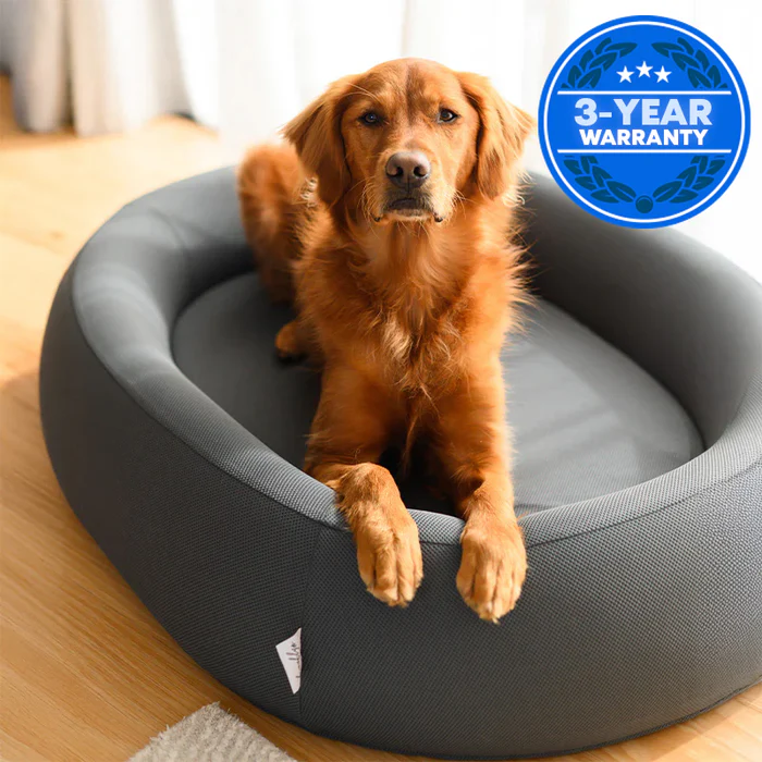 How to Choose the Perfect Ultra Memory Foam Dog Bed Online 