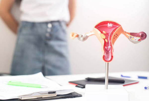 Modern Solutions for Heavy Menstrual Bleeding: Understanding Menorrhagia Treatment Options