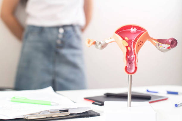 Modern Solutions for Heavy Menstrual Bleeding: Understanding Menorrhagia Treatment Options