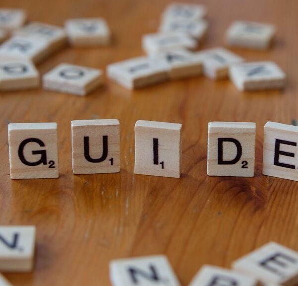 complete guide offers practical insights