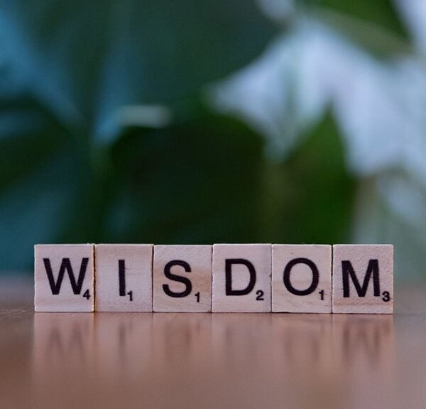 top reasons to learn